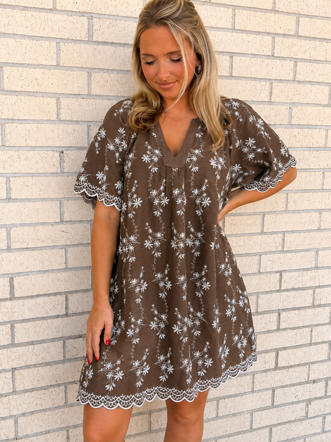 Dandi Brown Embroidered Mini Dress
