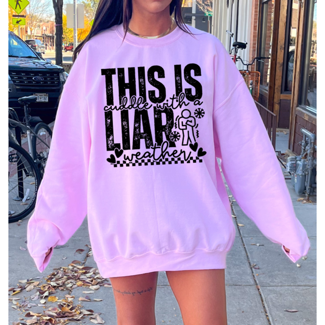 cuddle with a liar weather  Tee or Sweatshirt