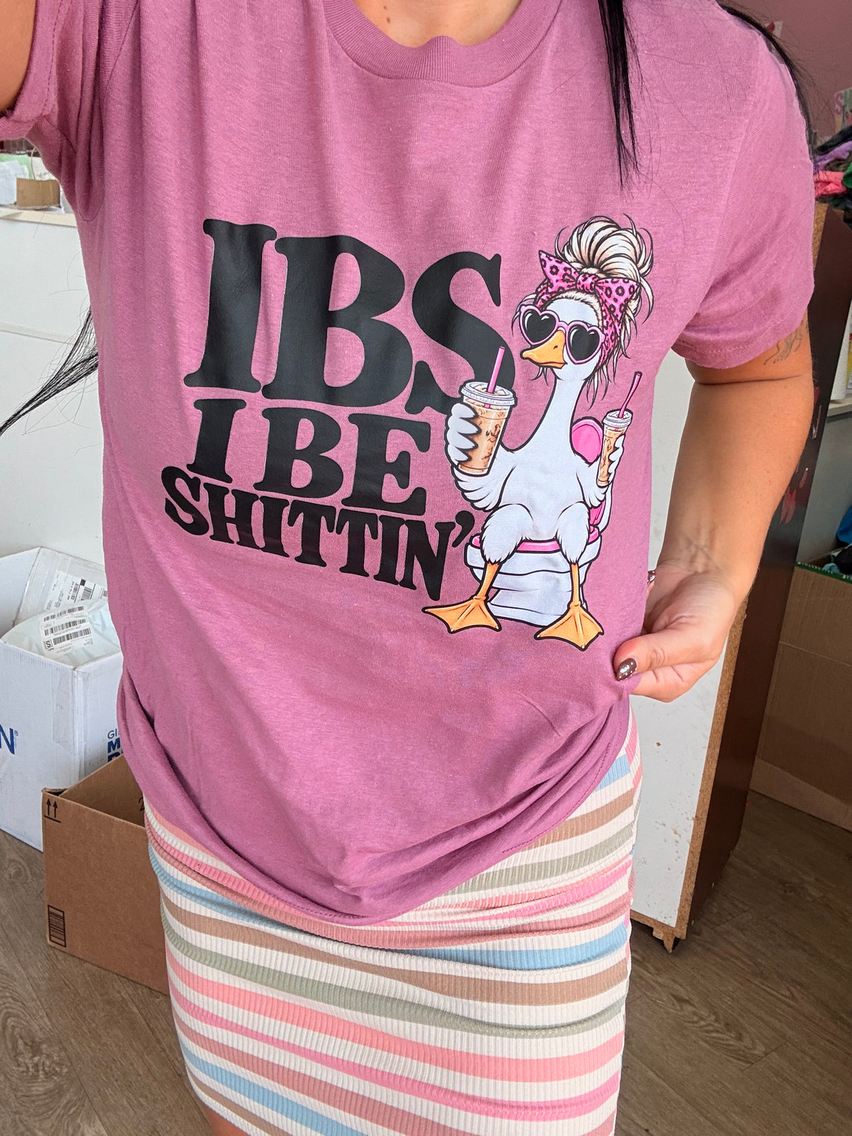 Ibs I be shittin goose tee or sweatshirt