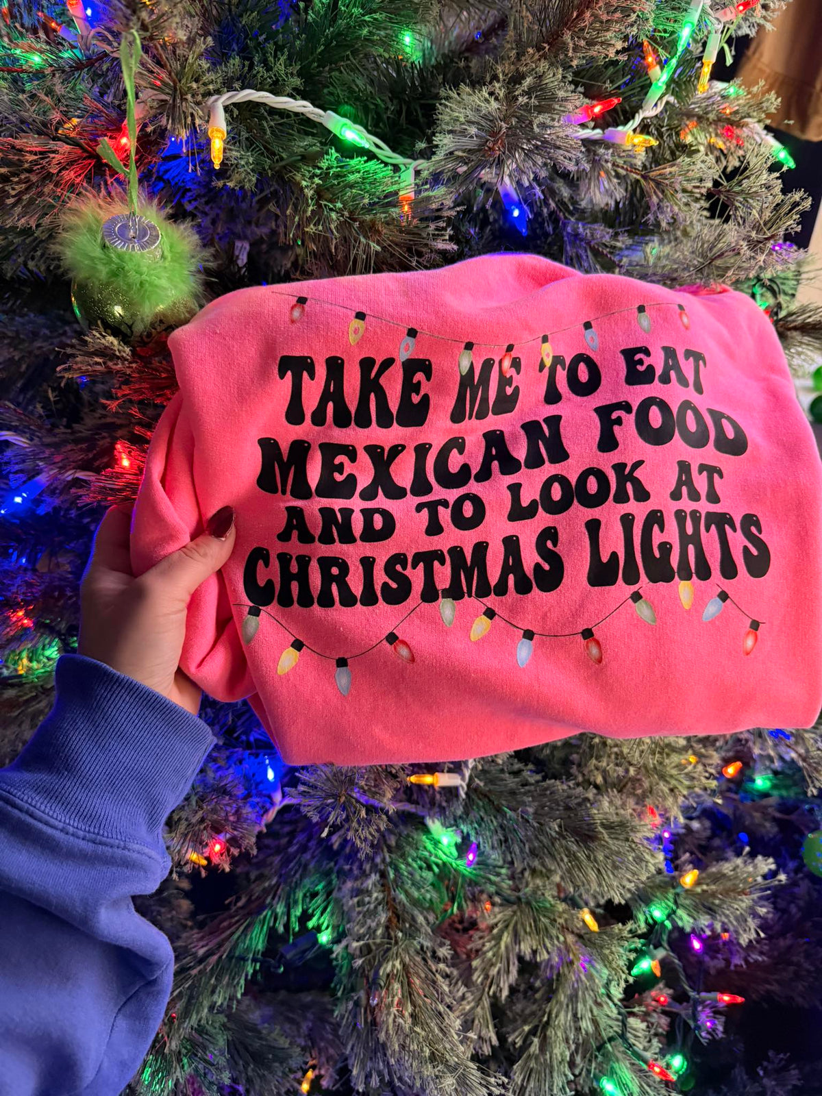 Take me to look at  Christmas lights Tee or Sweatshirt