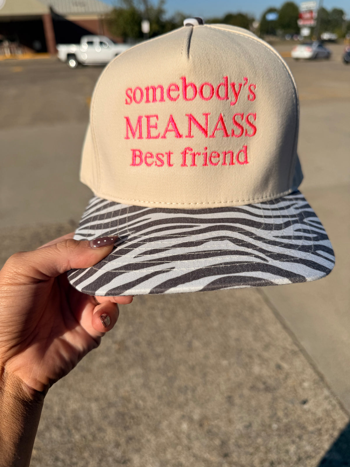 somebody's meanass best friend embroidered hat