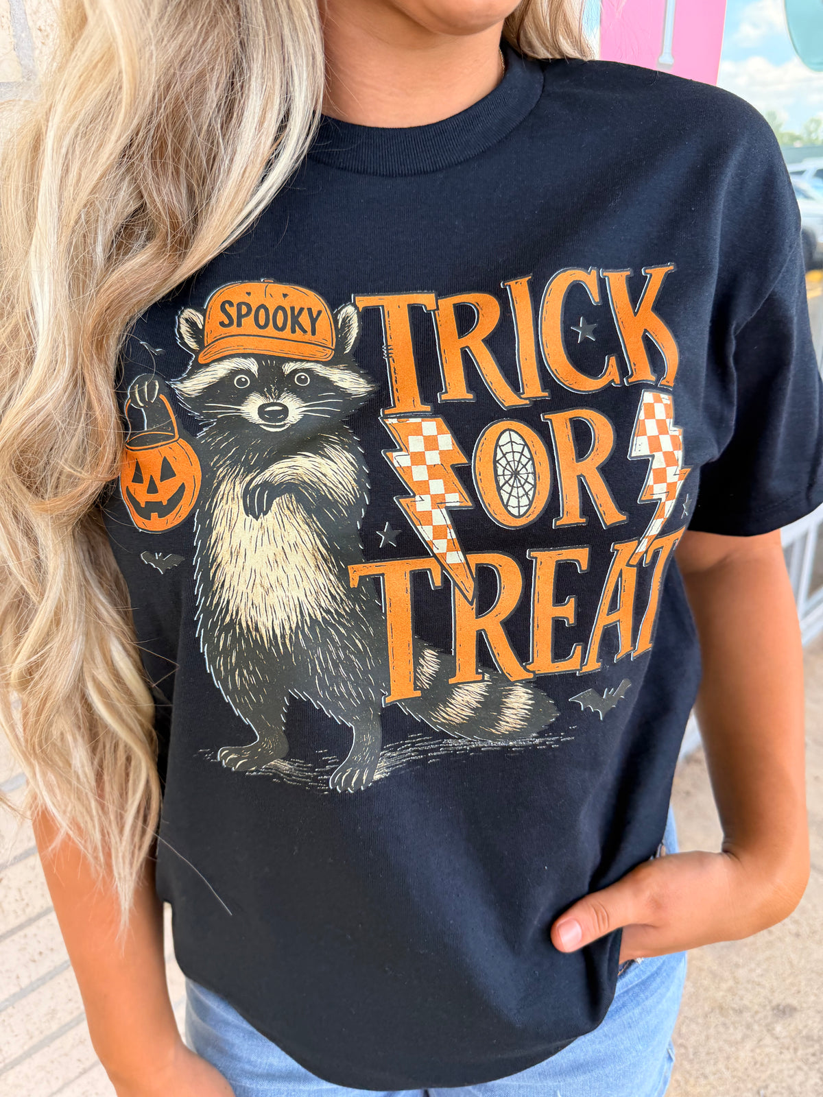 trick or treat racoon tee or sweatshirt