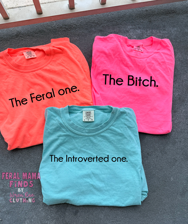 Matching best friend THE bitch, THE introverted, the FERAL one,  tee ,tank or sweatshirt