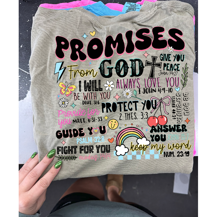 Promises of God Christian Tee or sweatshirt