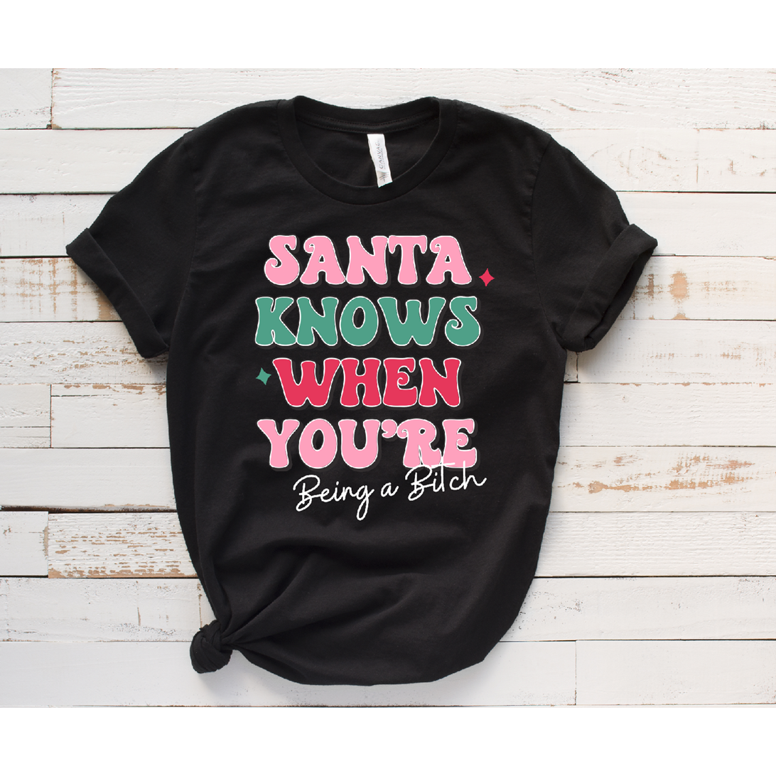 Santa Knows when you&#39;re being a bitch Christmas tee or Sweatshirt