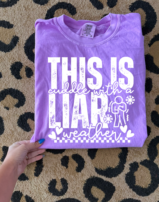 cuddle with a liar weather  Tee or Sweatshirt