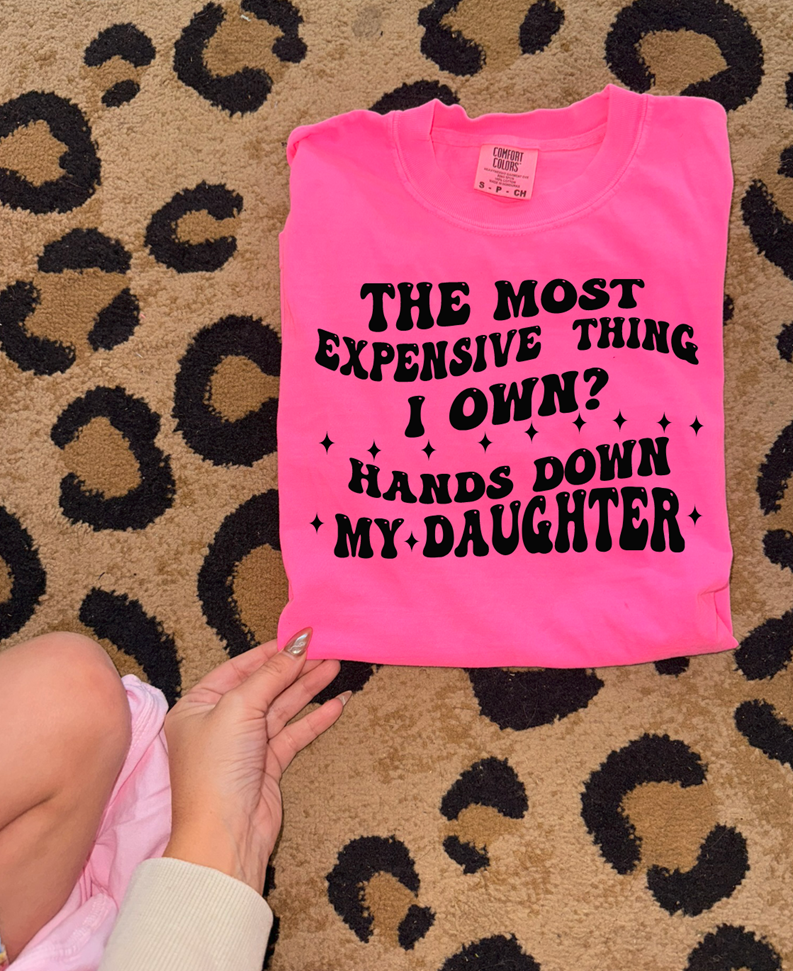 the most expensive thing i own? my daughter tee or sweatshirt