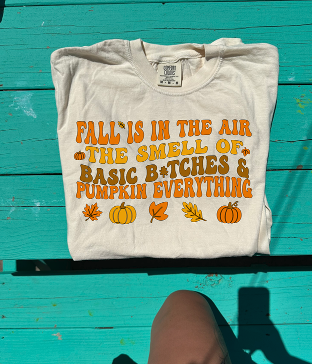 Fall is in the air tee or sweatshirt