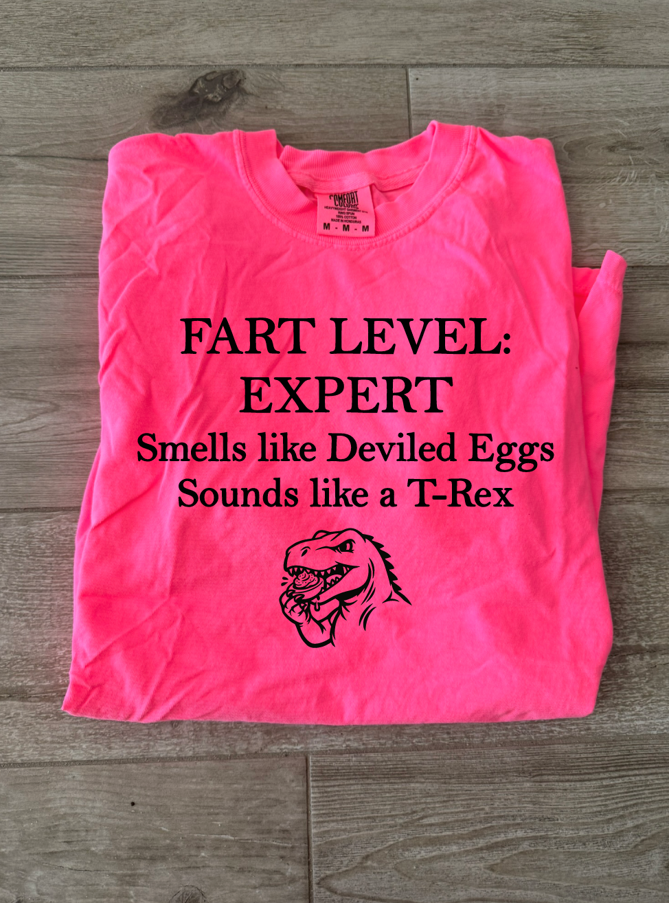fart level expert tank, tee or sweatshirt