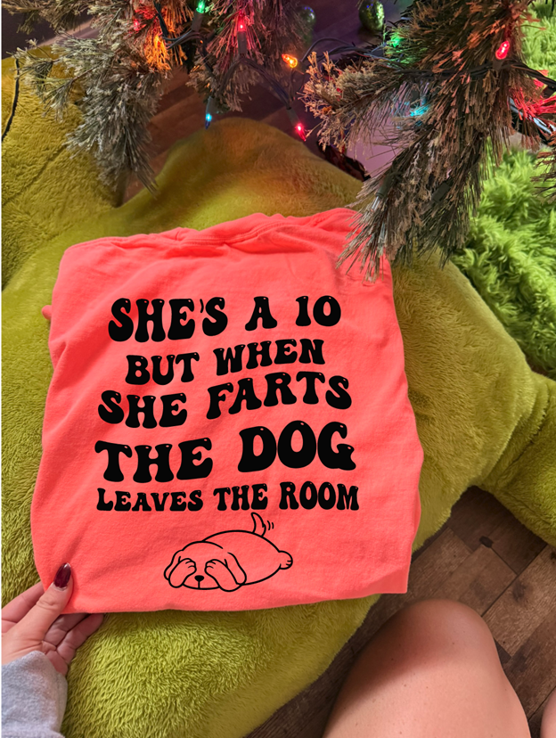 she's a 10 but when she farts the dog leaves the room tee or sweatshirt