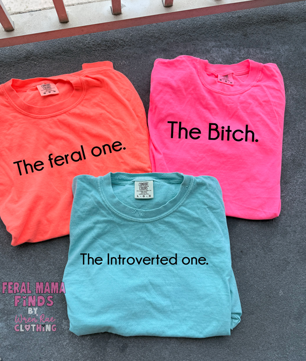 Matching best friend THE bitch, THE introverted, the FERAL one,  tee ,tank or sweatshirt