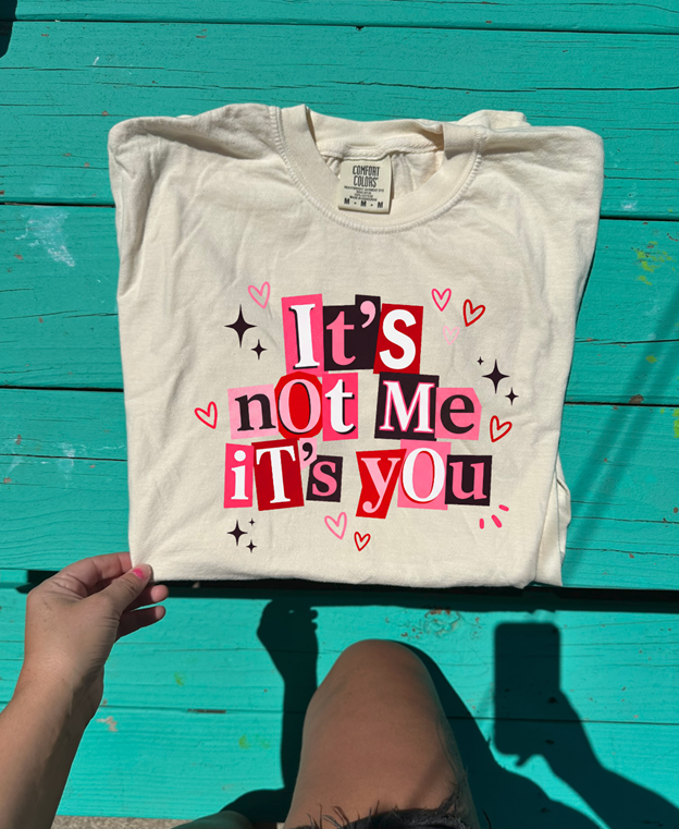it's not me it's you  valentine's day tee or sweatshirt