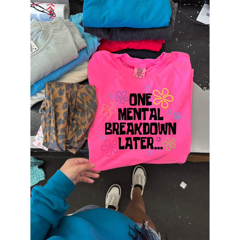 One Mental Breakdown later Tee or Sweatshirt