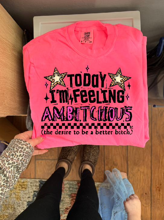 Ambitchous tee or sweatshirt