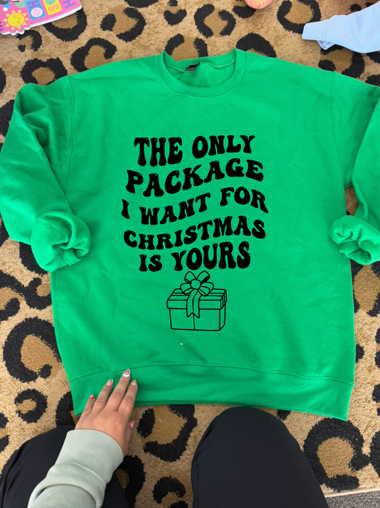the only package i want for Christmas tree tee or sweatshirt