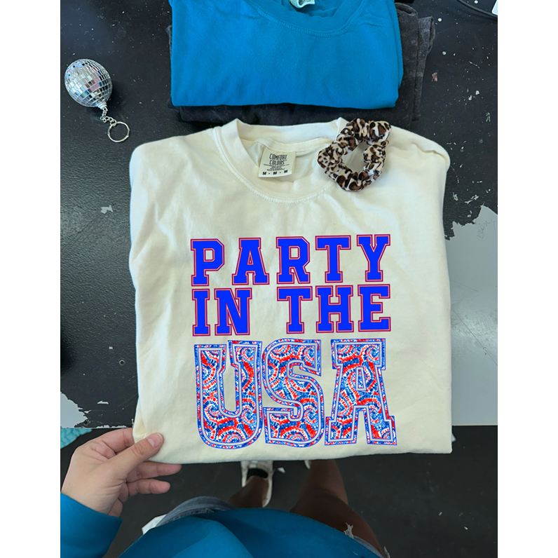 Party in the Usa Tee or sweatshirt