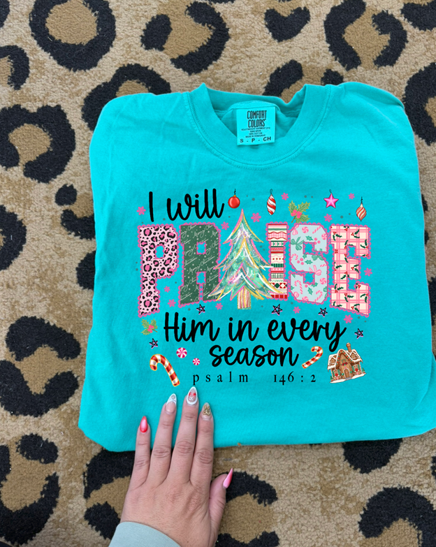 I will praise Him in every season tee or sweatshirt