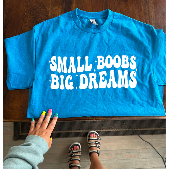 small boobs big dreams tee or sweatshirt