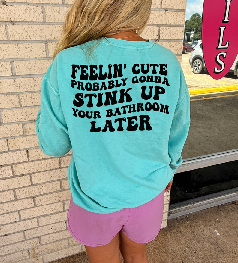 feelin&#39; cute might stink up your bathroom later tee or sweatshirt