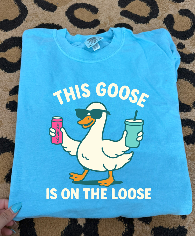 this energy Goose is on the Loose Tee or sweatshirt