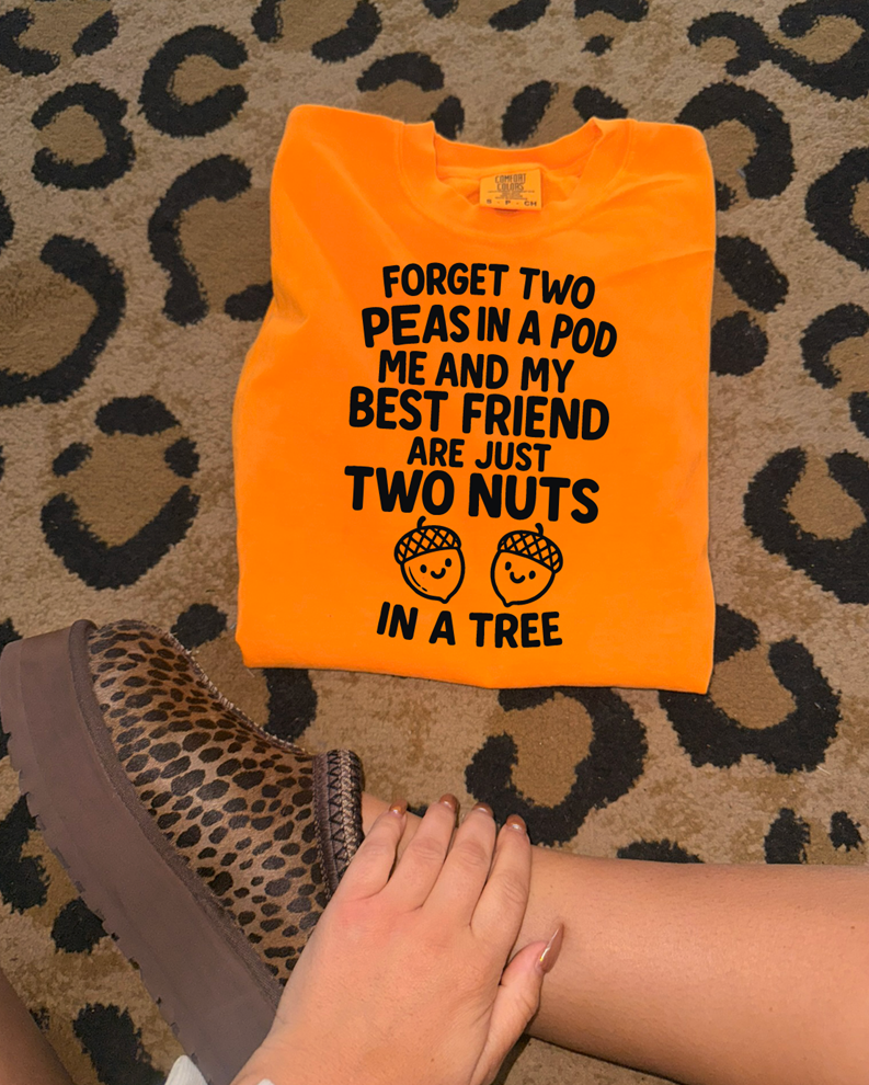 Best Friend two nuts in a tree tee or sweatshirt