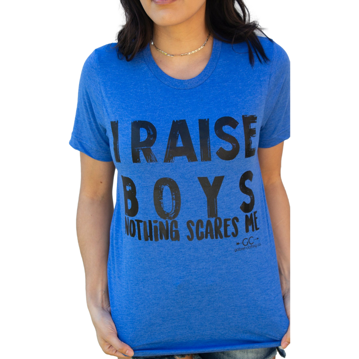 I raise boys tee or sweatshirt
